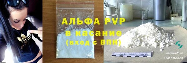гидра Горнозаводск