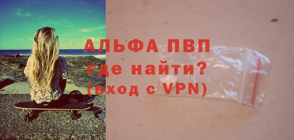 стаф Горняк