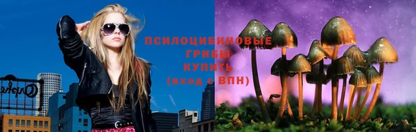 соль ск Горно-Алтайск