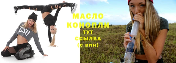 гидра Горнозаводск