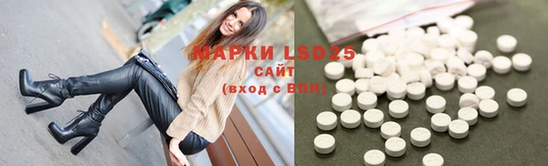 стаф Горняк