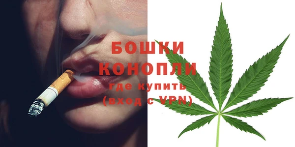 соль ск Горно-Алтайск