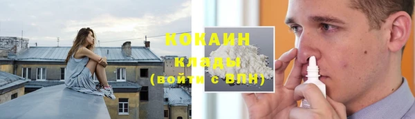 стаф Горняк