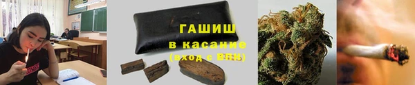 стаф Горняк
