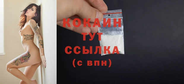 стаф Горняк