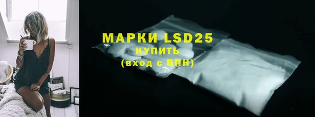 стаф Горняк