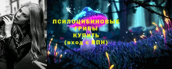 гидра Горнозаводск
