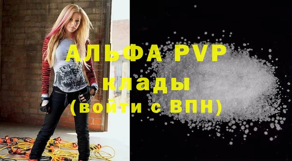 гидра Горнозаводск