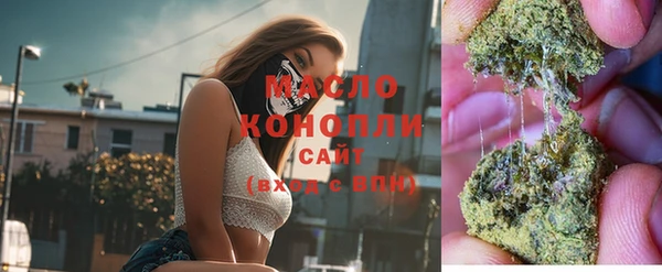 гидра Горнозаводск