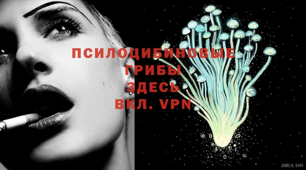 гидра Горнозаводск