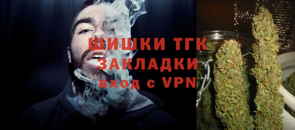 стаф Горняк